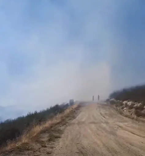 Incêndio em Alfaião coloca Canil em risco