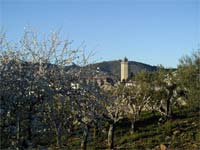 FREIXO comemora Foral