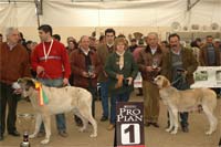 Feira Franca atrai milhares de visitantes