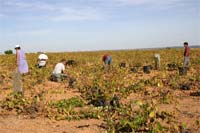 Parques naturais com imagem de marca