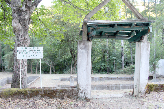 Faltam trutas nos rios do Nordeste