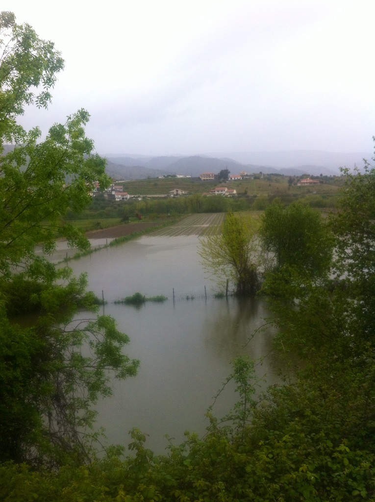 Inundações destroem culturas agrícolas