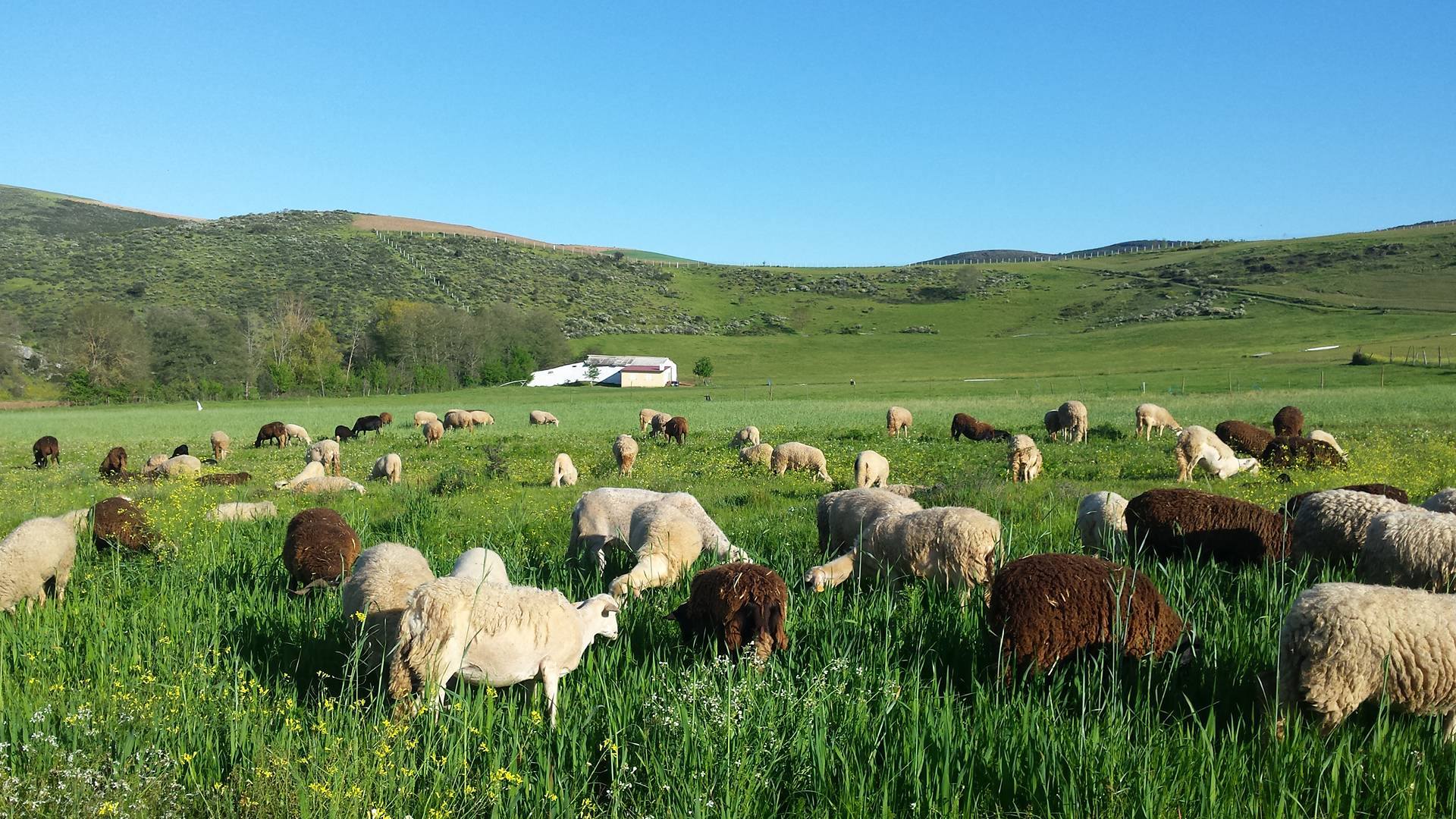 Legislação proposta pelo Município de Bragança na área do ambiente não agrada a autarcas do meio rural