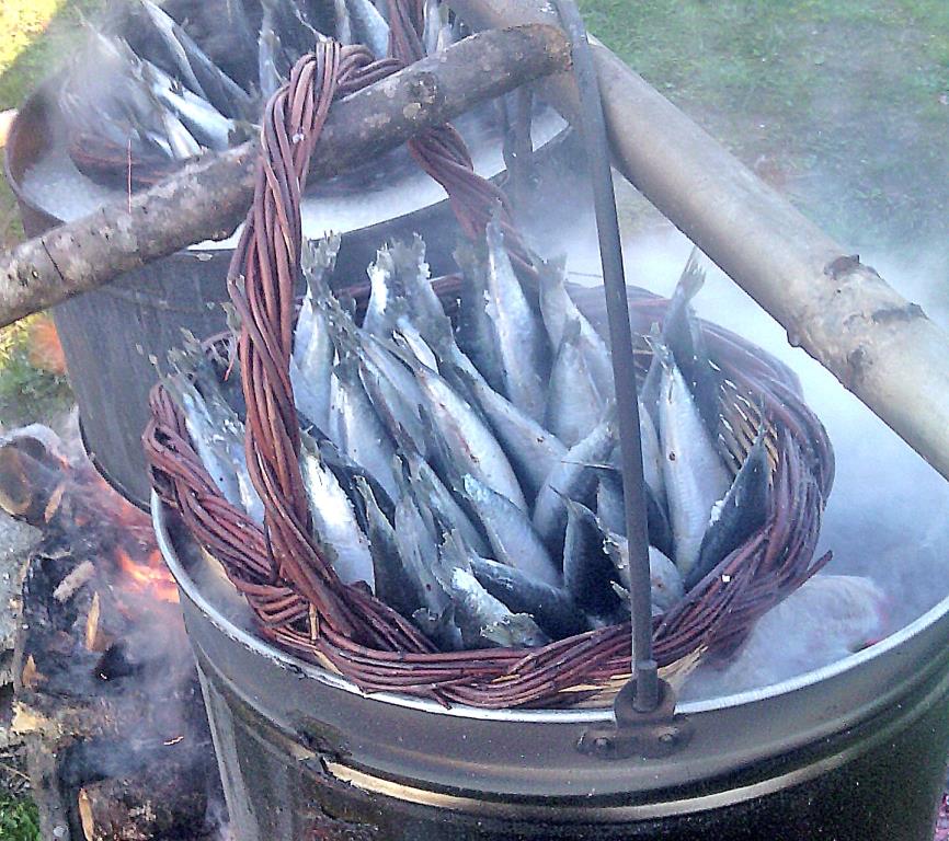 Santo Estevão celebrado em Freixedelo com sardinha para afastar intempéries