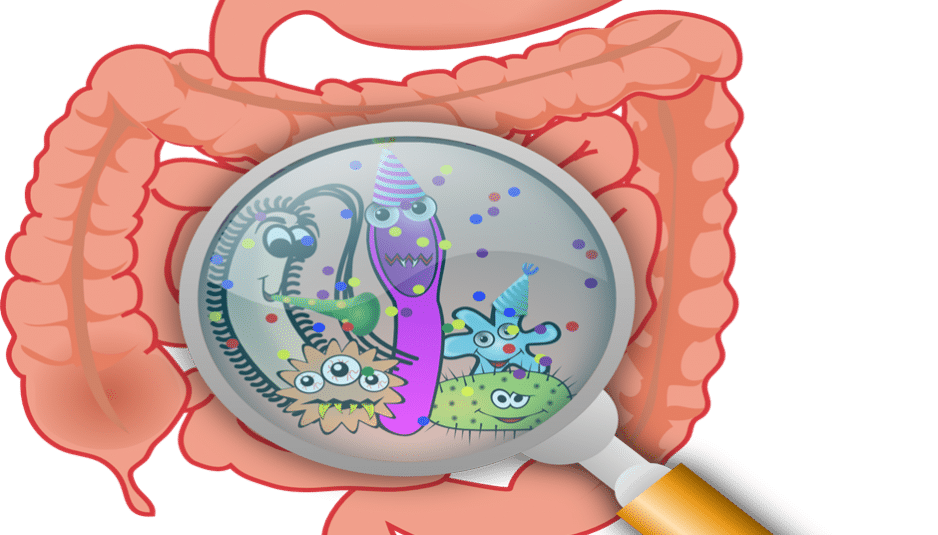 Gastroenterite – Proteja-se!