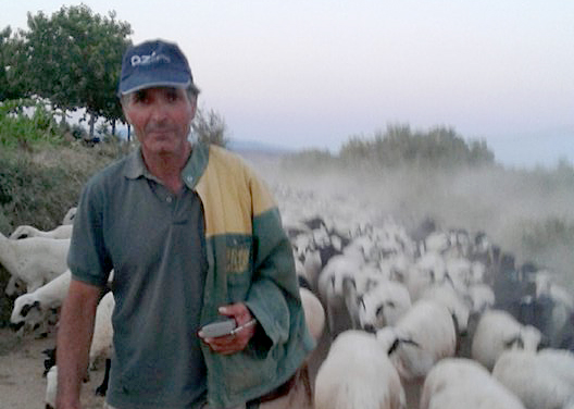 Formado na universidade do pastoreio