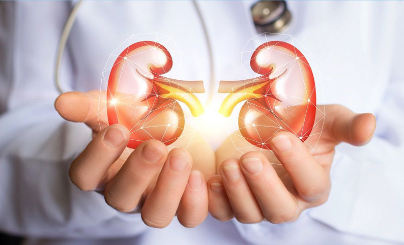 Saúde da Mulher – Cuide dos seus Rins!