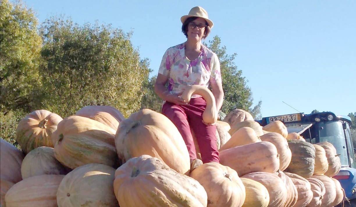 Em Outubro, a abóbora é rainha