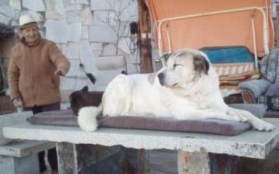 António Coelho tem uma casa que mais parece um Santuário