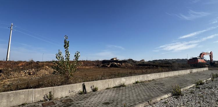 Silêncio de Hernâni Dias preocupa IL e PS