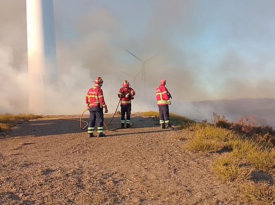 Incêndio que chegou ao Parque Natural de Montesinho ficou extinto ontem à noite