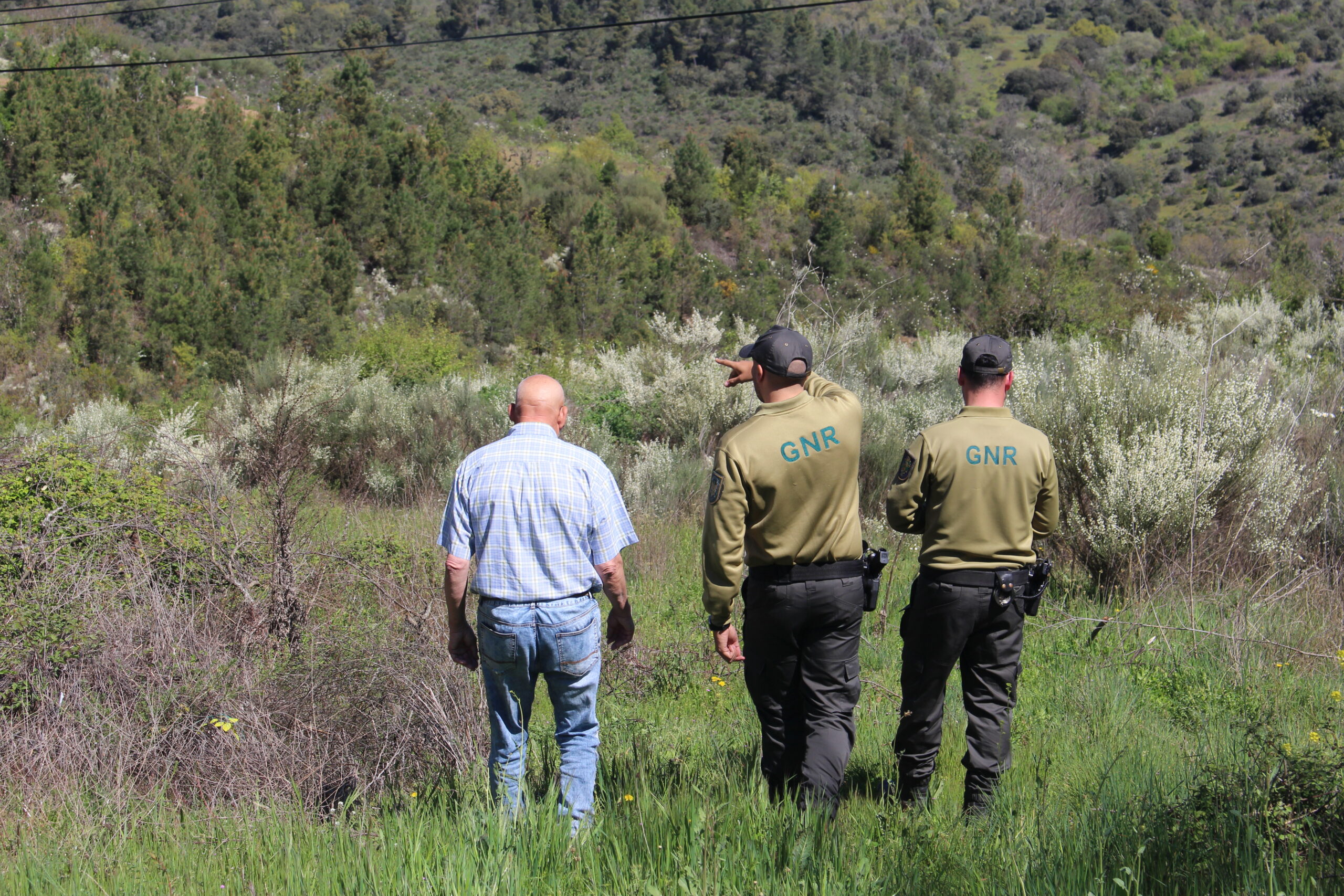 Alargado prazo para limpeza dos terrenos até final de maio