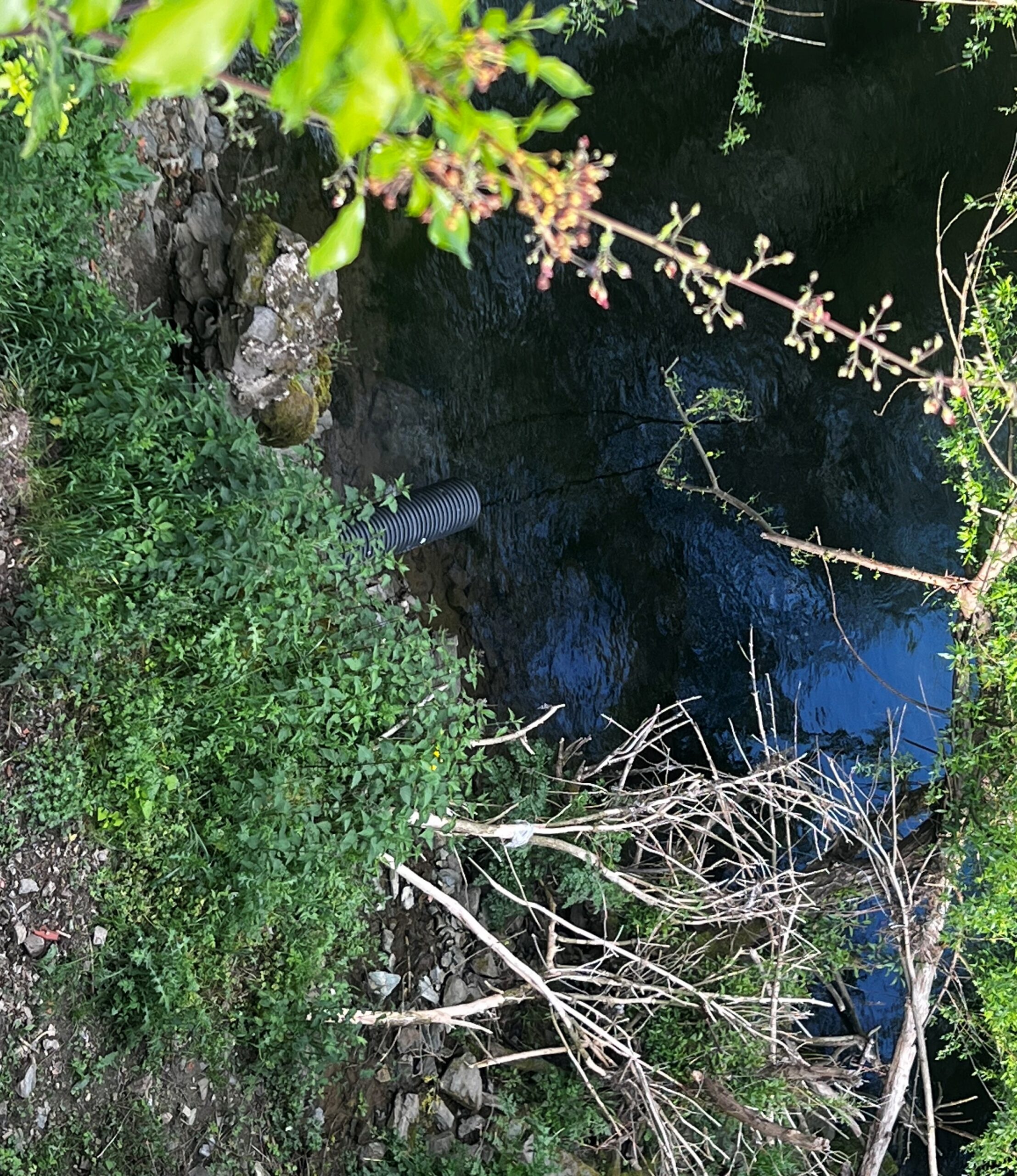 Cano no rio Sabor estará a fazer descargas de esgoto no curso de água mas lei permite