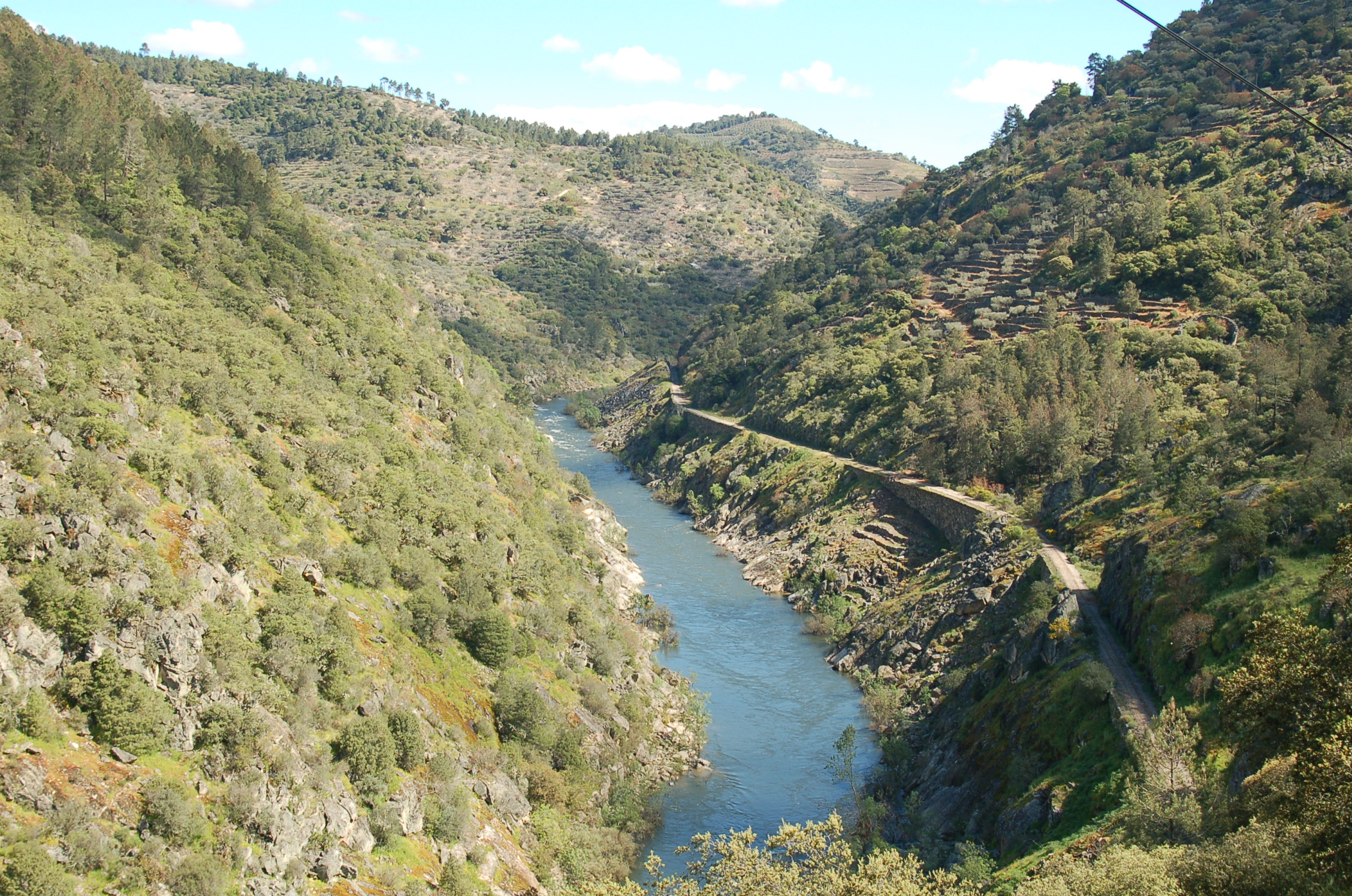 PUB: Impacto positivo na biodiversidade e comunidades do Vale do Tua